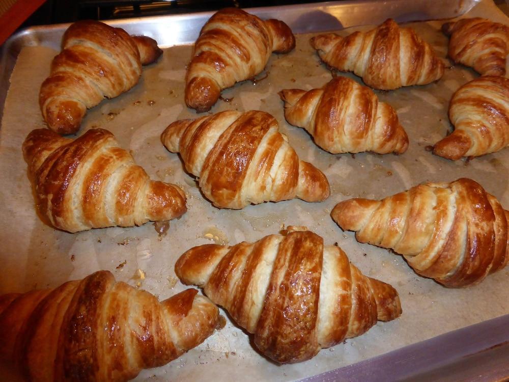 Sweet Biscuit Inn Άσβιλ Εξωτερικό φωτογραφία